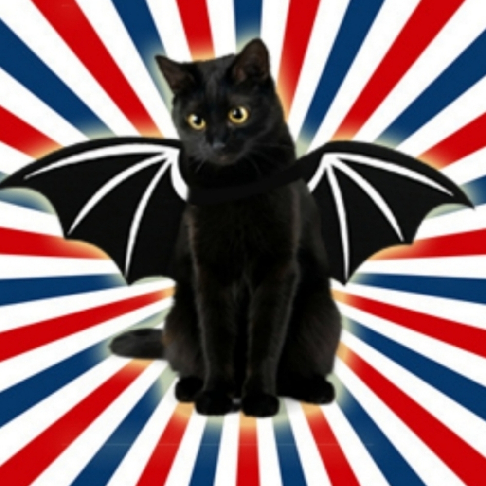 Goth lightweight bat wings for cat or small dog nwt - Picture 3 of 6